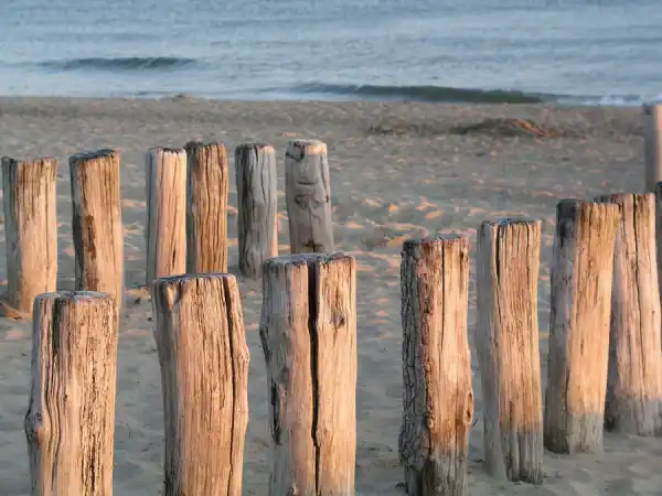 Pillars to set solid foundation